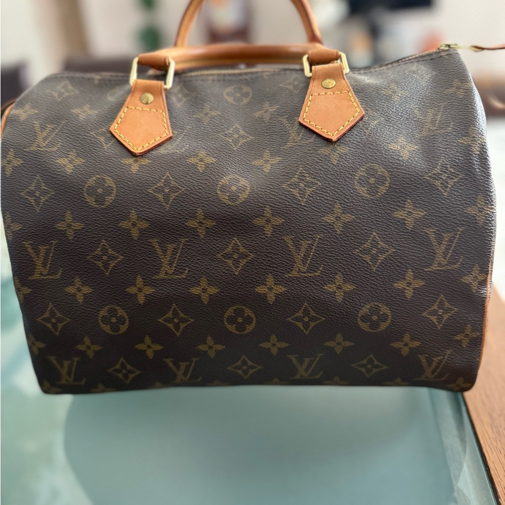 Louis Vuitton Monogram Handbag